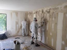 Hebron, PA Mold Removal Company